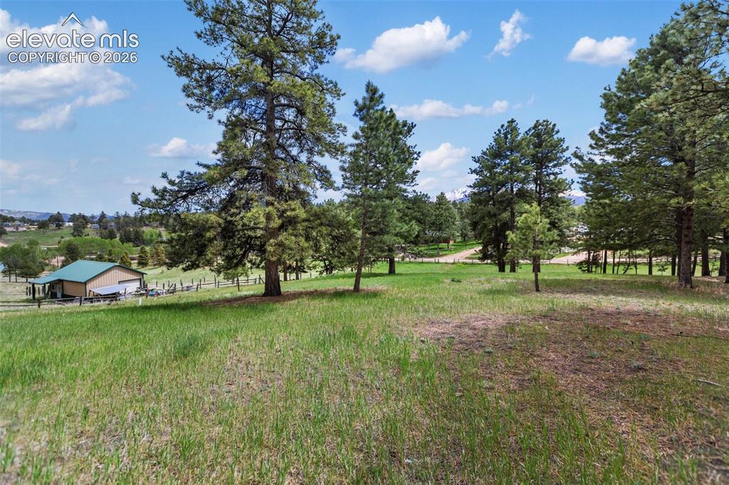 42 Bluebird Hill Woodland Park CO 80863