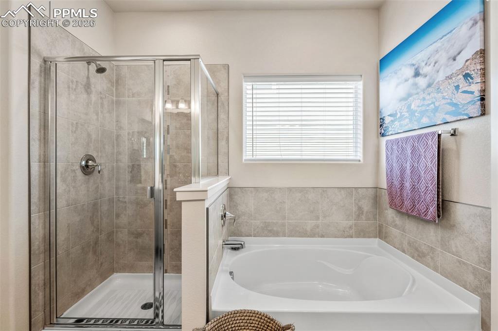 2815 Gobi Drive Colorado Springs CO 80939