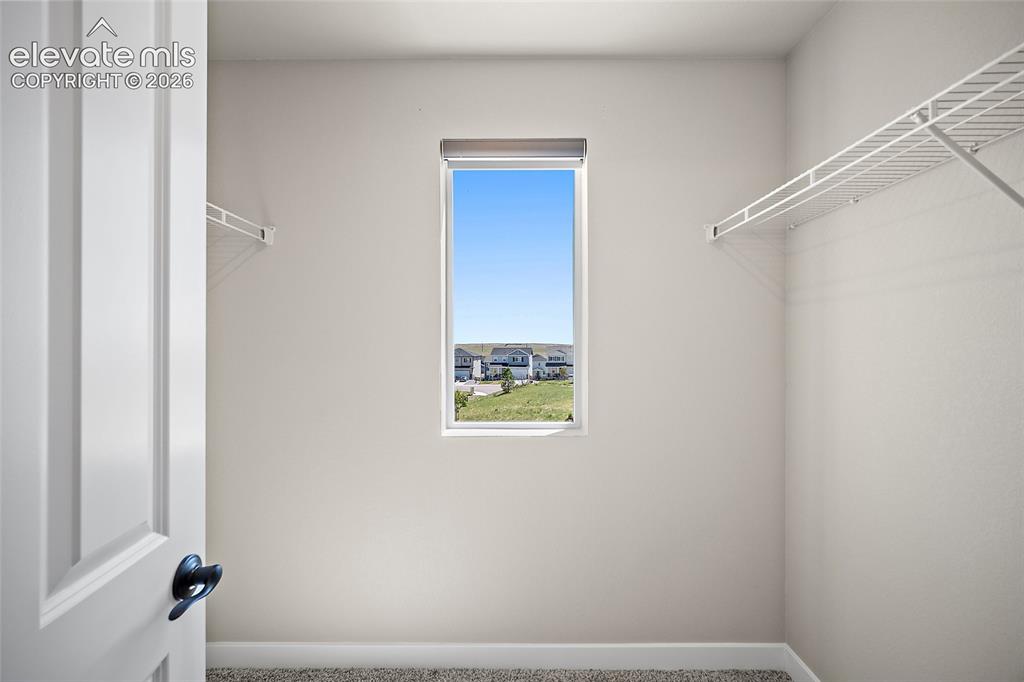 3938 Ryedale Way Colorado Springs CO 80922