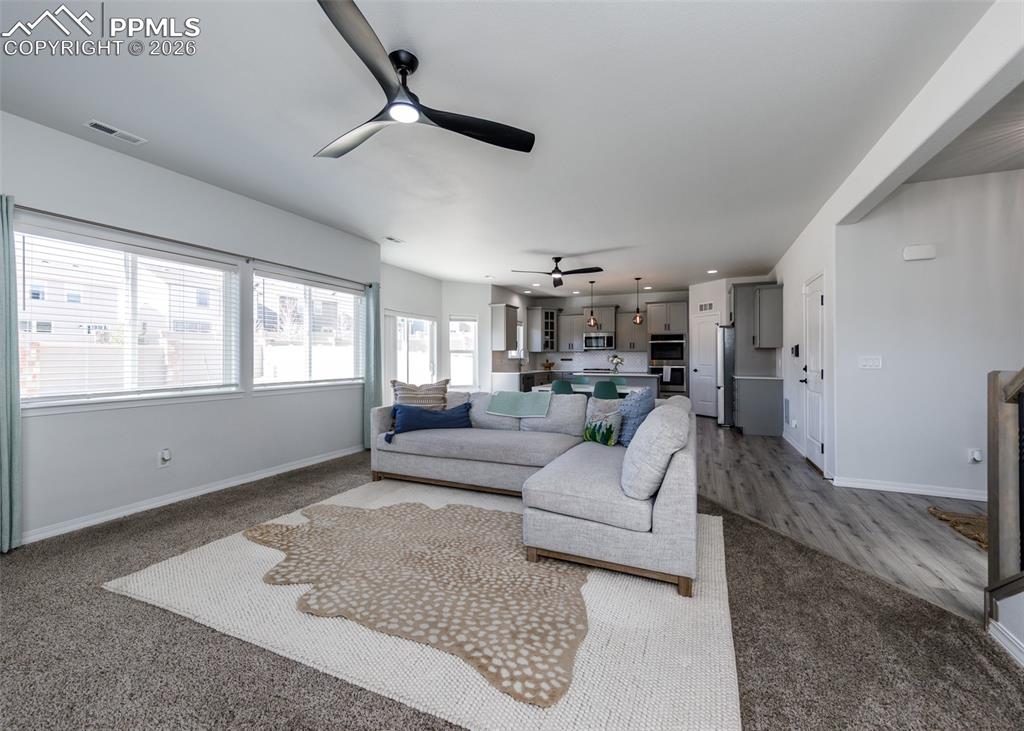 4624 Halite Way Colorado Springs CO 80938