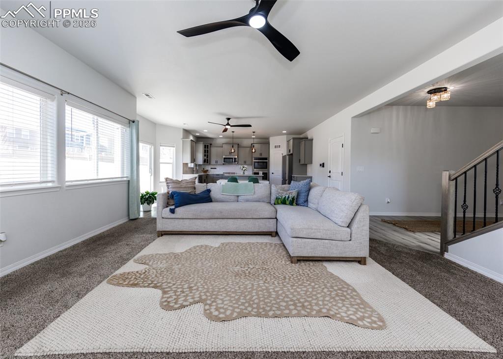 4624 Halite Way Colorado Springs CO 80938