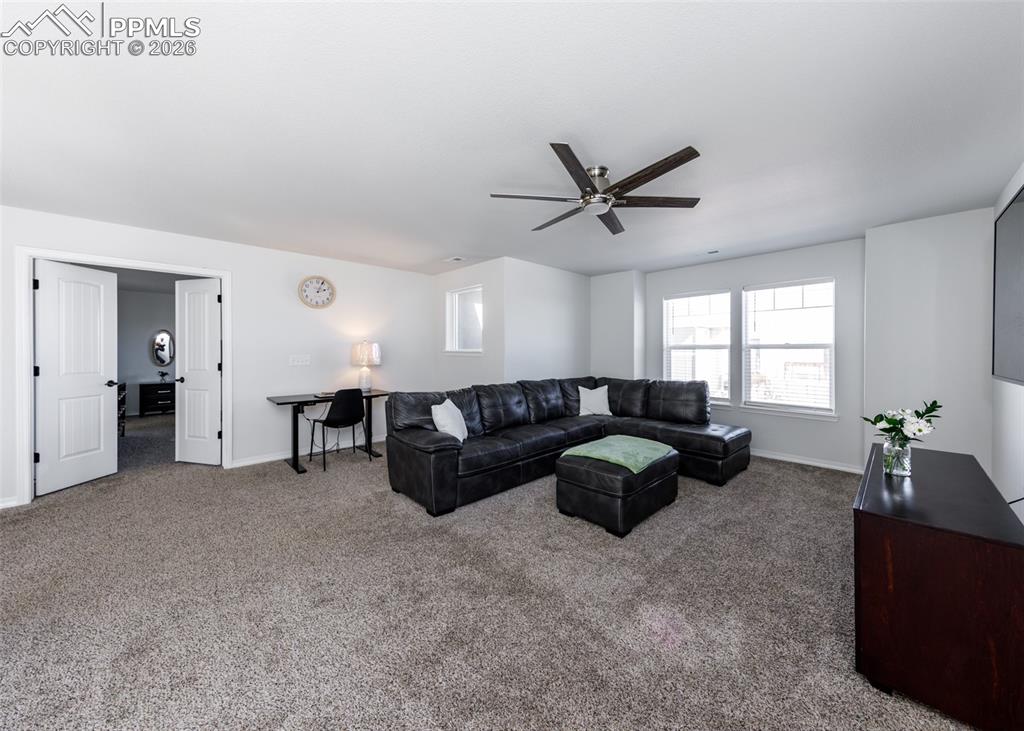 4624 Halite Way Colorado Springs CO 80938