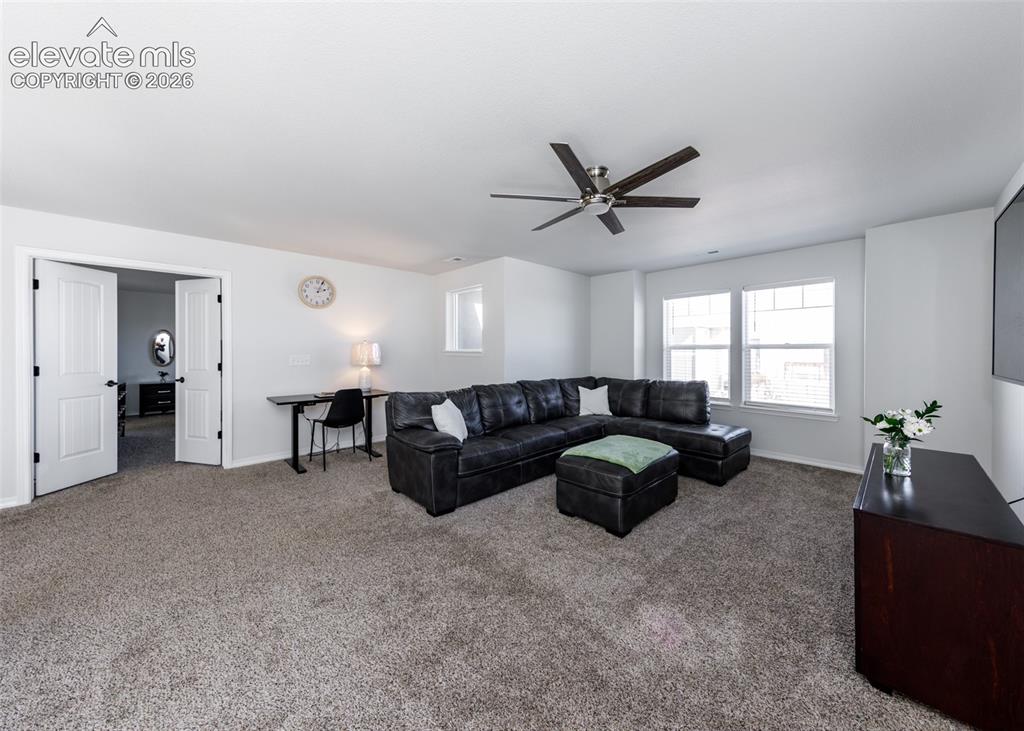 4624 Halite Way Colorado Springs CO 80938