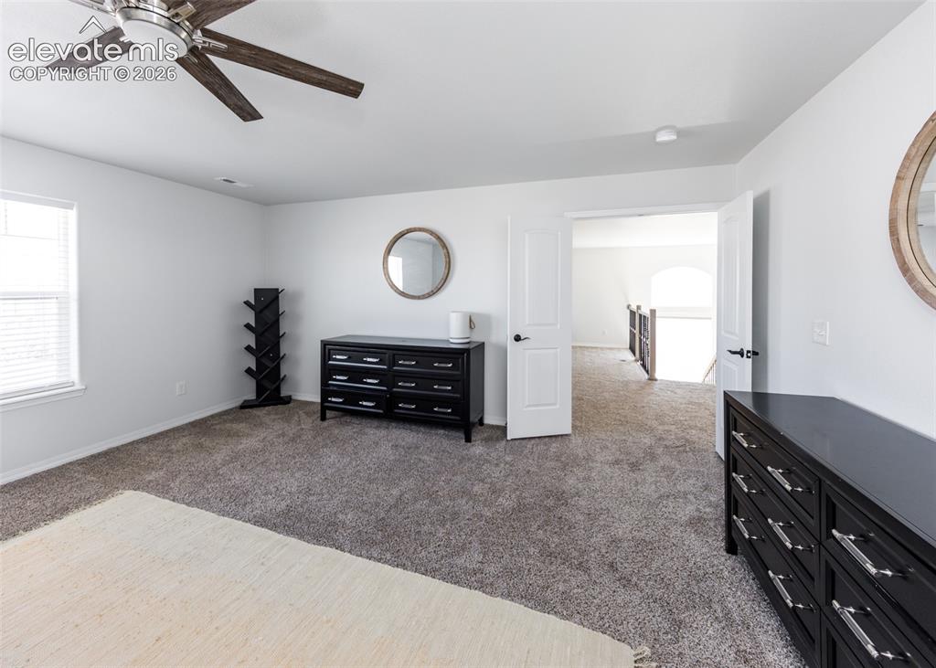 4624 Halite Way Colorado Springs CO 80938