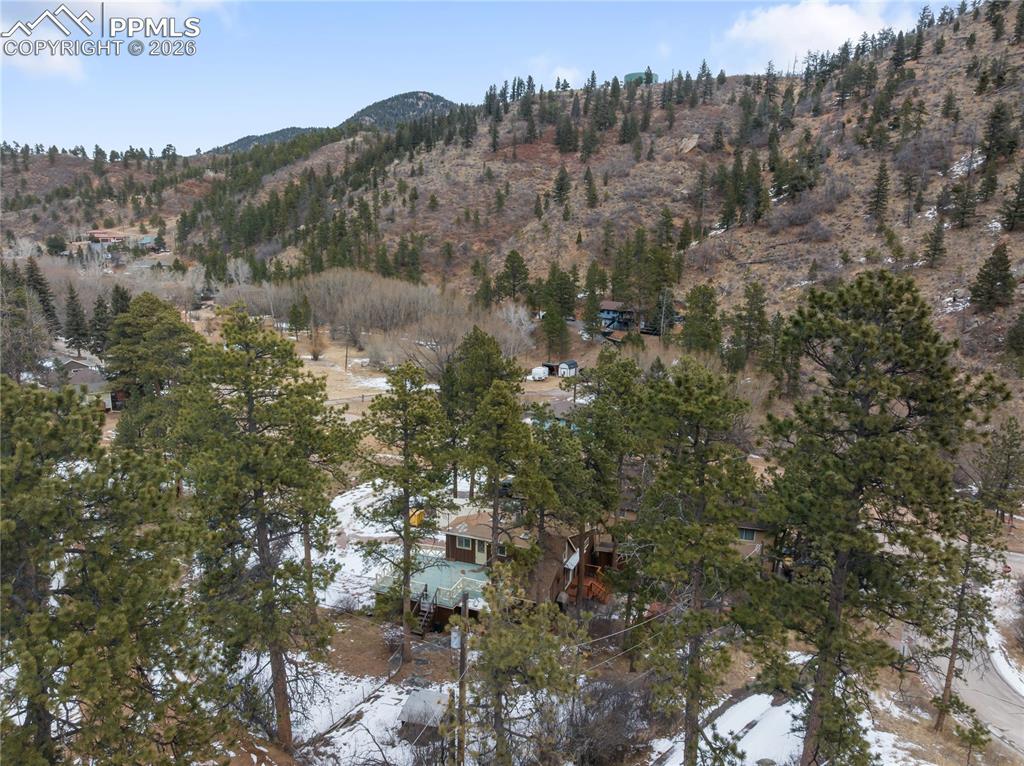 10225 Ute Pass Avenue Green Mountain Falls CO 80819
