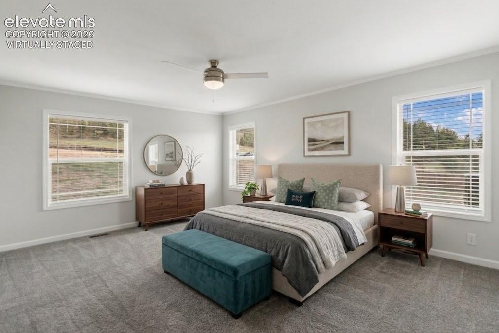 740 Crystal Peak Road Florissant CO 80816