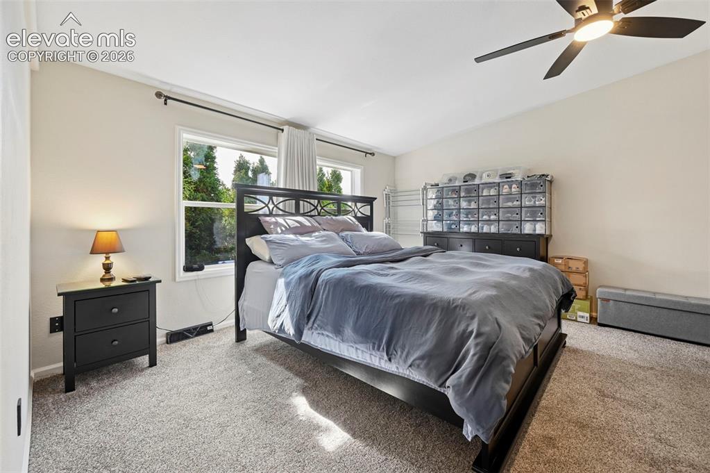 7611 Black Bear Point Colorado Springs CO 80922