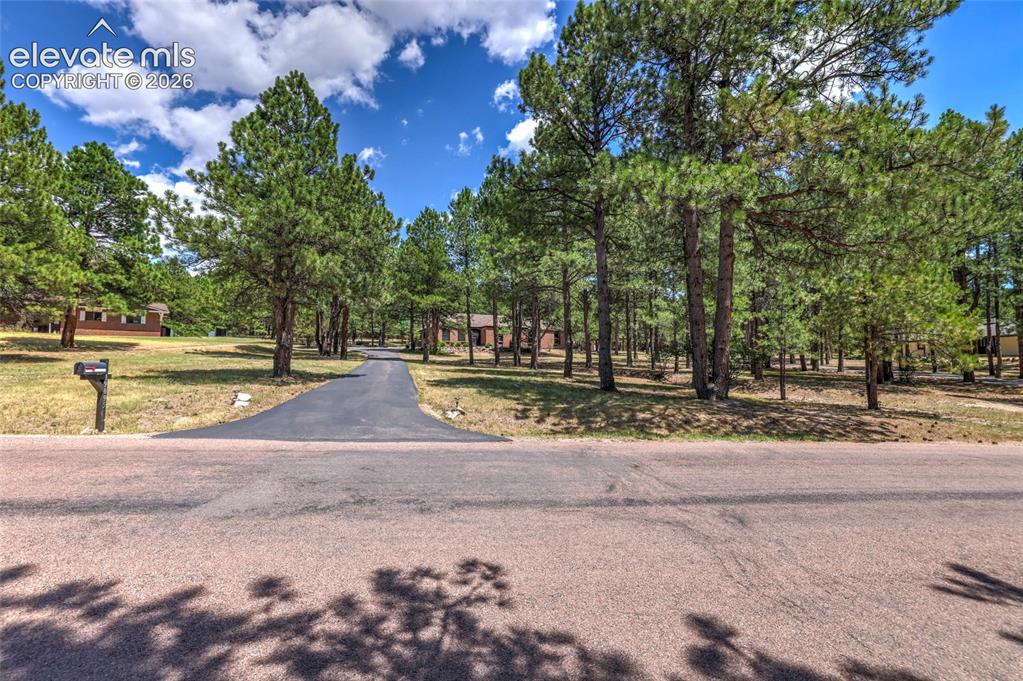 19095 White Fawn Drive Monument CO 80132