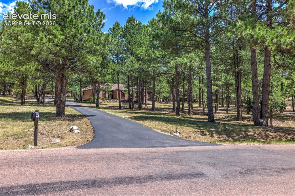 19095 White Fawn Drive Monument CO 80132