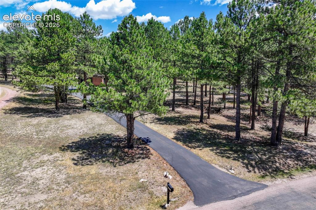 19095 White Fawn Drive Monument CO 80132