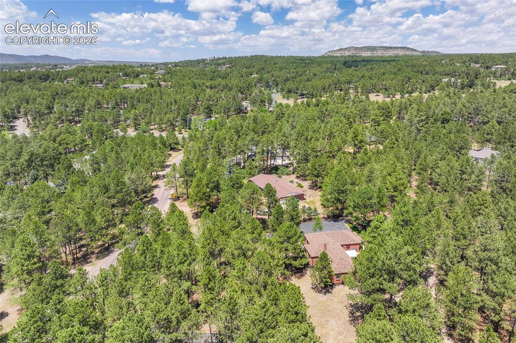 19095 White Fawn Drive Monument CO 80132