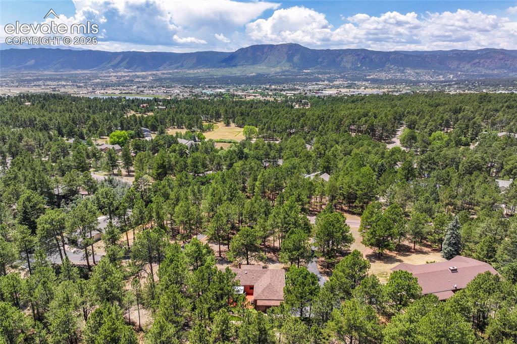 19095 White Fawn Drive Monument CO 80132
