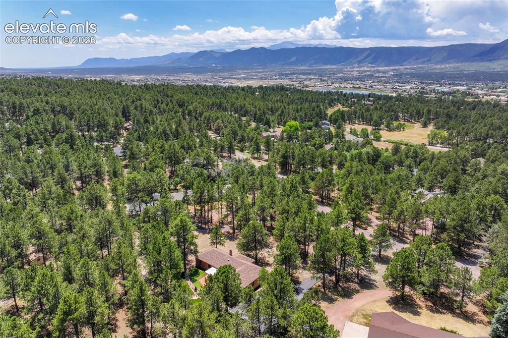 19095 White Fawn Drive Monument CO 80132