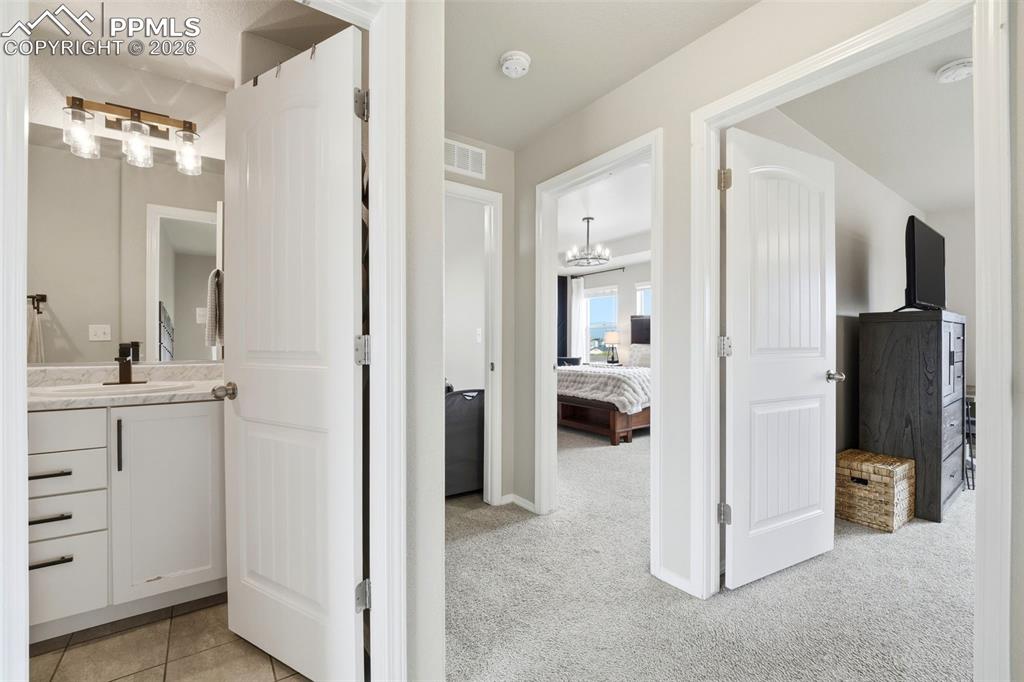 2614 Equine Court Colorado Springs CO 80922