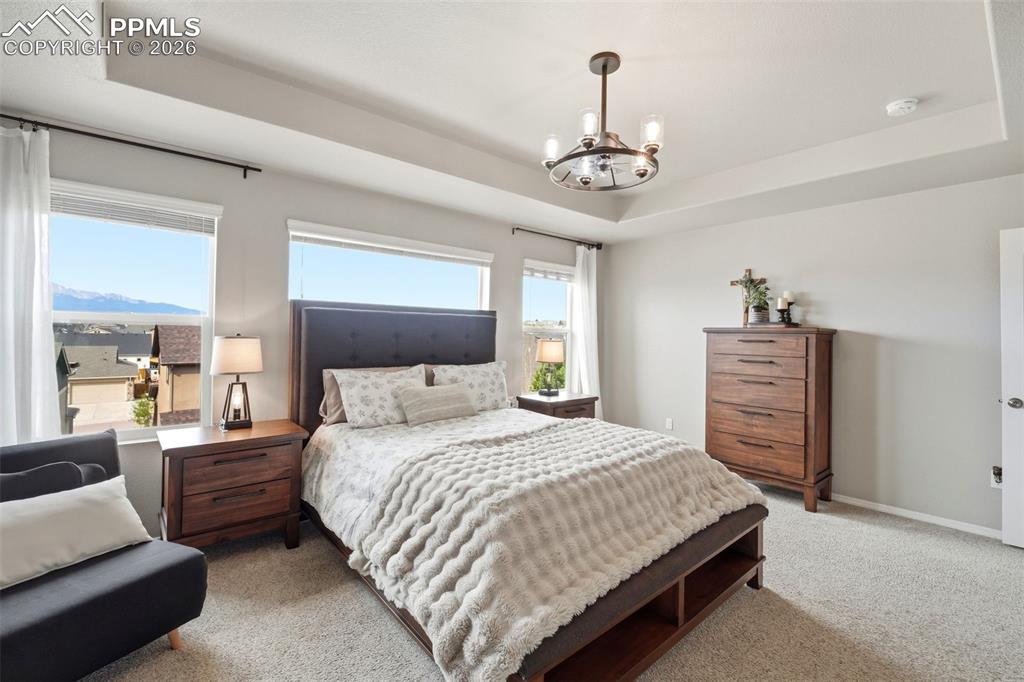 2614 Equine Court Colorado Springs CO 80922