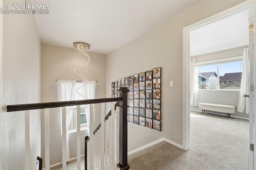 2614 Equine Court Colorado Springs CO 80922