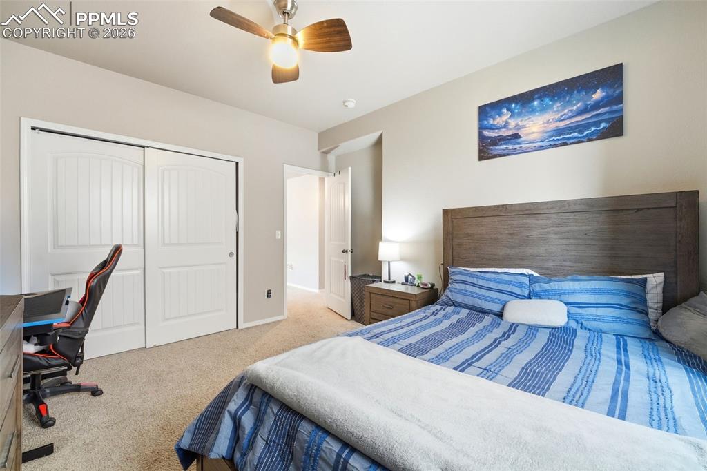 2614 Equine Court Colorado Springs CO 80922