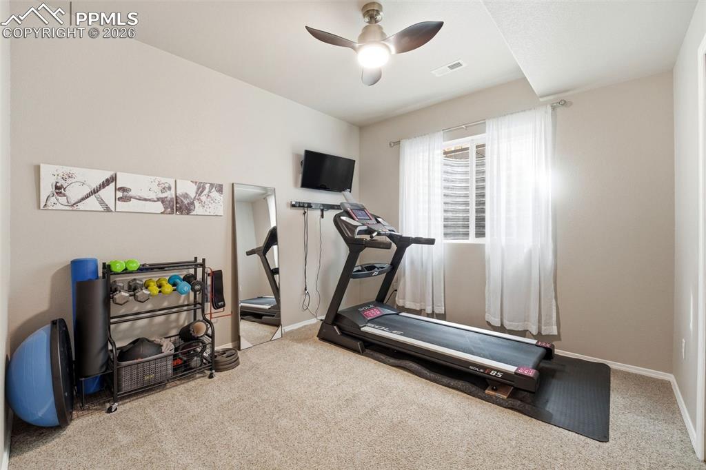 2614 Equine Court Colorado Springs CO 80922