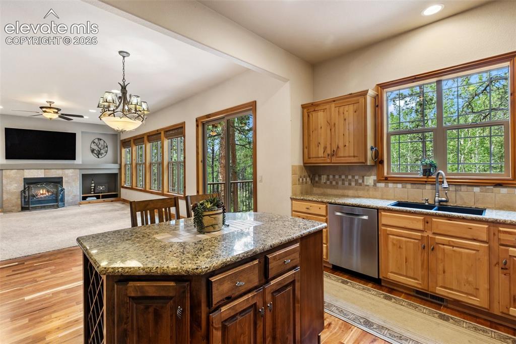 590 Pembrook Drive Woodland Park CO 80863