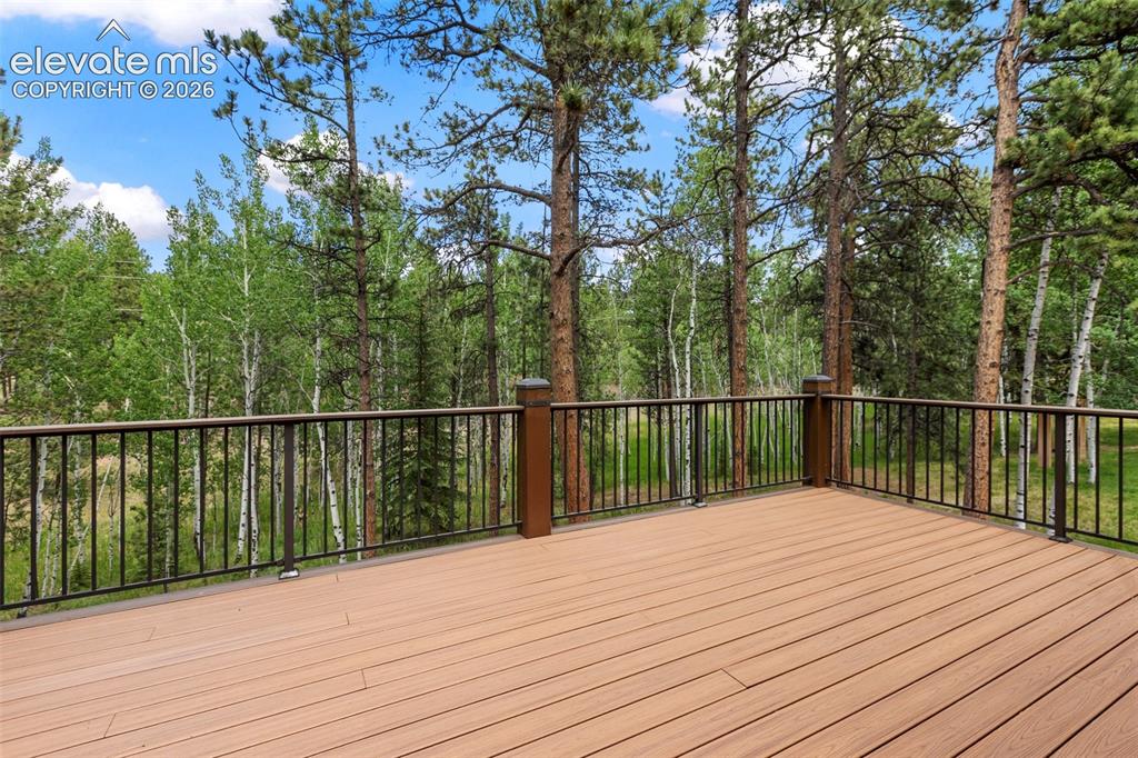590 Pembrook Drive Woodland Park CO 80863