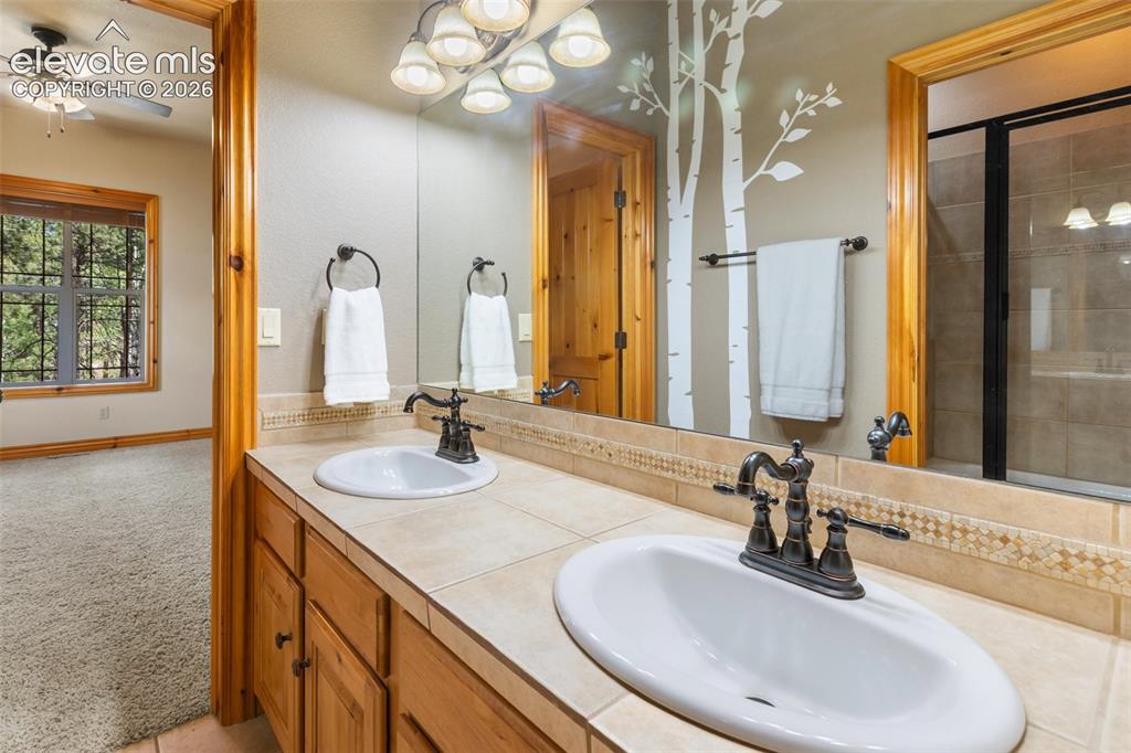 590 Pembrook Drive Woodland Park CO 80863