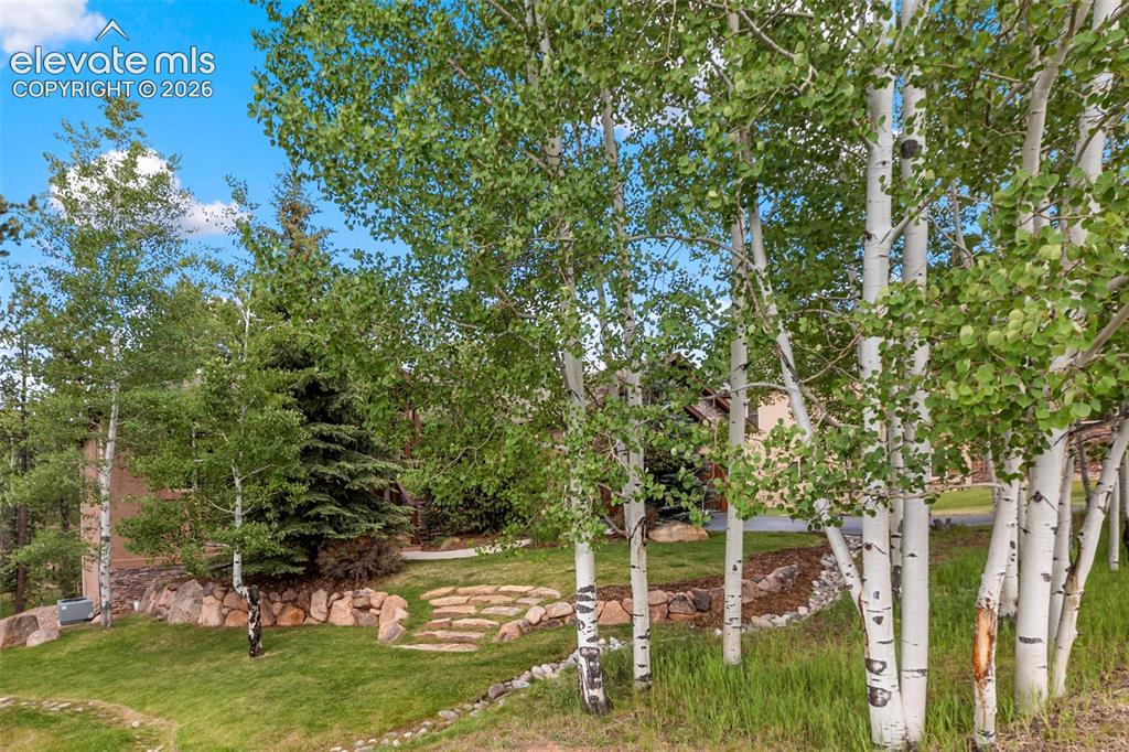 590 Pembrook Drive Woodland Park CO 80863