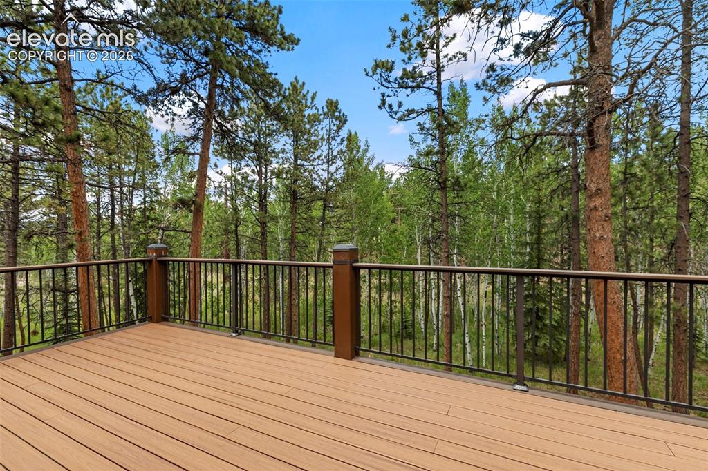590 Pembrook Drive Woodland Park CO 80863