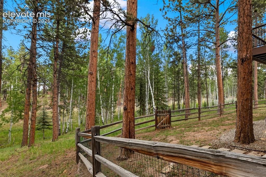 590 Pembrook Drive Woodland Park CO 80863