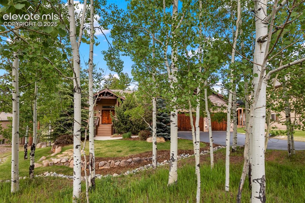 590 Pembrook Drive Woodland Park CO 80863