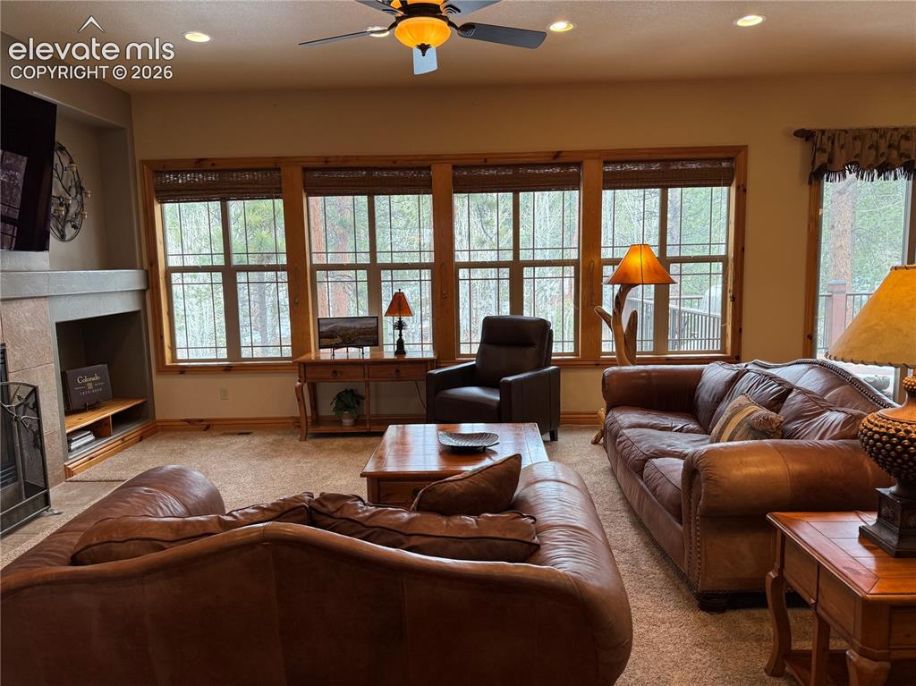 590 Pembrook Drive Woodland Park CO 80863