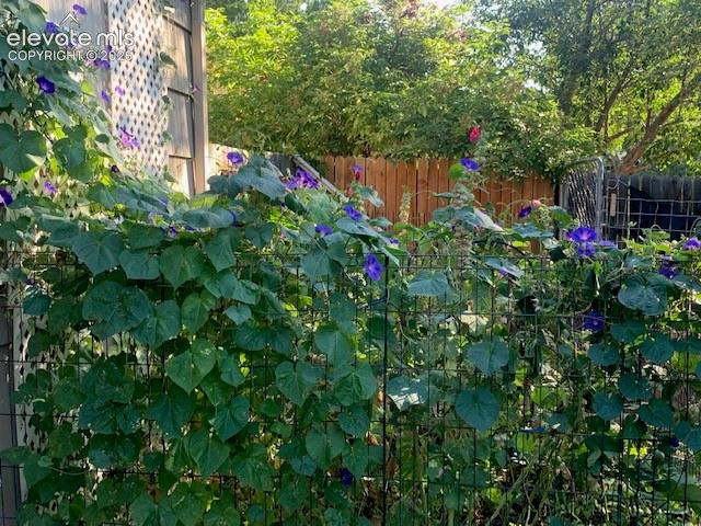 101 Trump Avenue Colorado Springs CO 80909