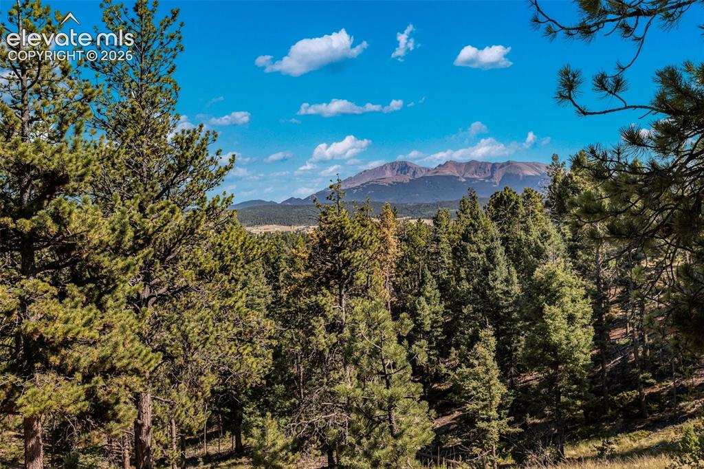 274 Pinecrest Road Woodland Park CO 80863