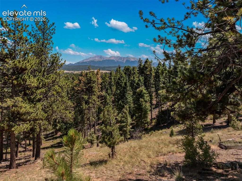 274 Pinecrest Road Woodland Park CO 80863