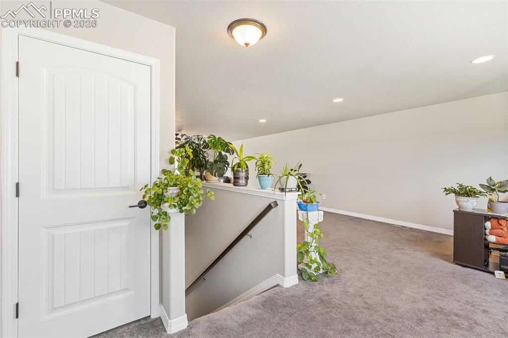 6987 Fauna Glen Drive Colorado Springs CO 80927