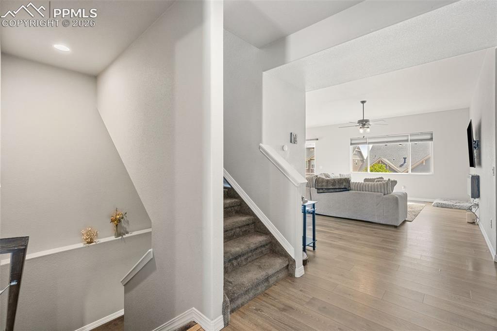 6987 Fauna Glen Drive Colorado Springs CO 80927