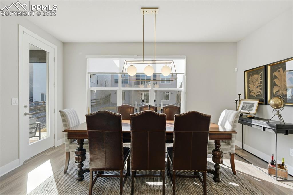 146 Kitselman Drive Castle Rock CO 80104