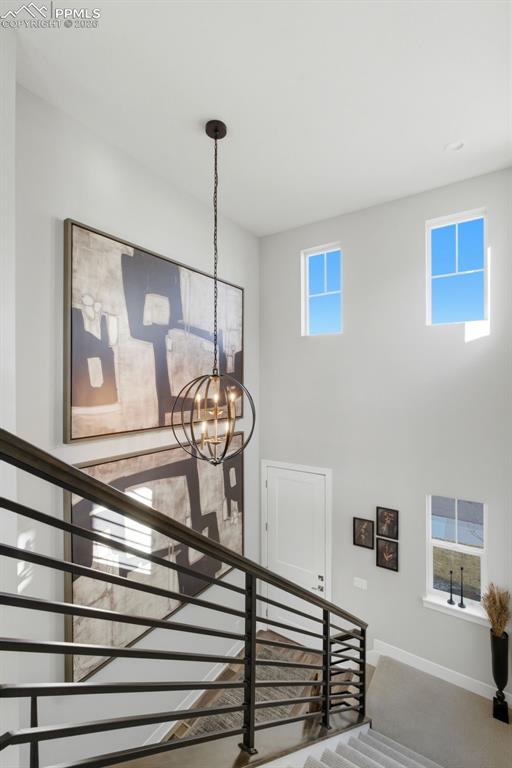 146 Kitselman Drive Castle Rock CO 80104