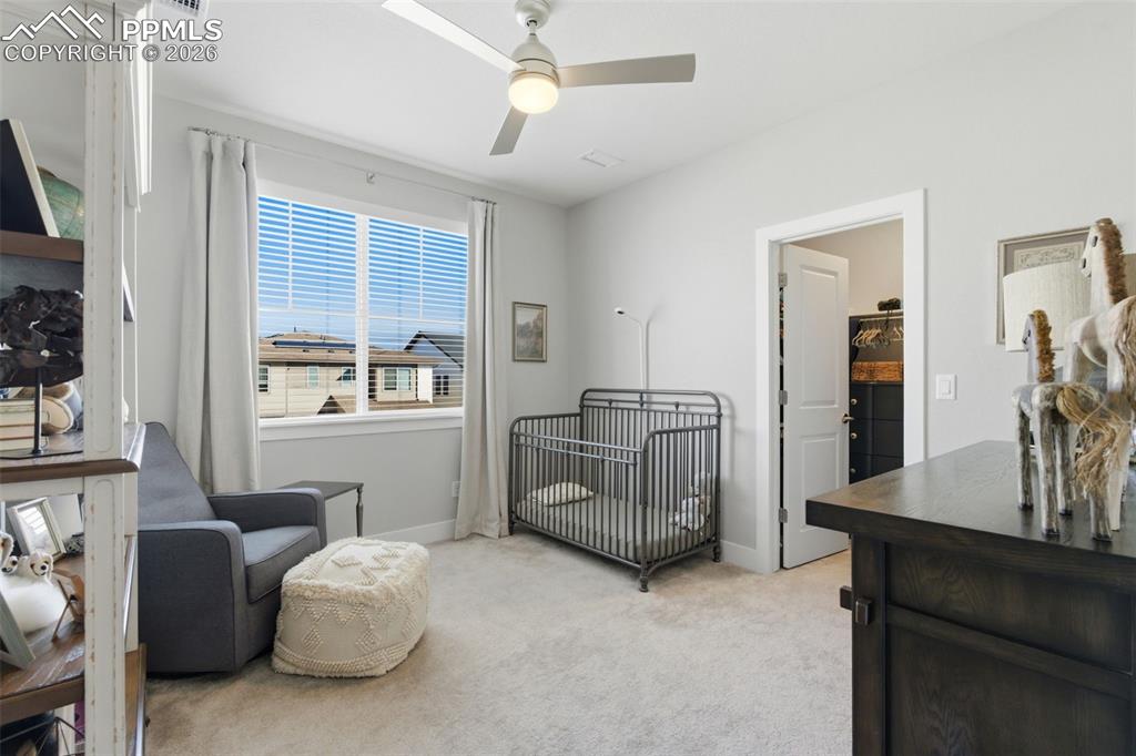 146 Kitselman Drive Castle Rock CO 80104