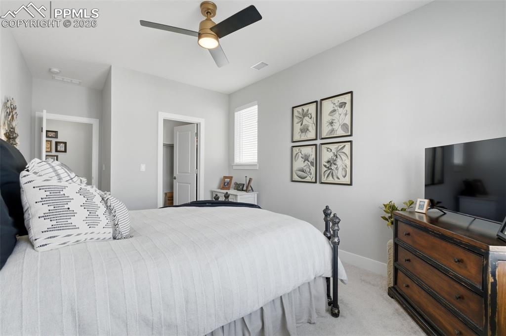 146 Kitselman Drive Castle Rock CO 80104