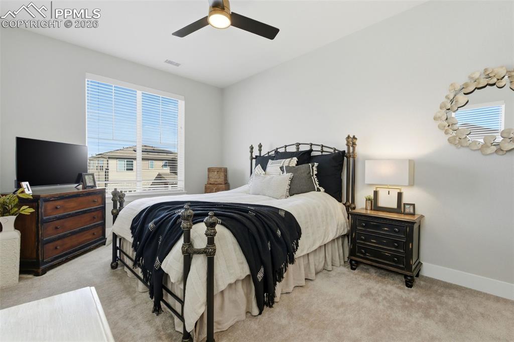 146 Kitselman Drive Castle Rock CO 80104