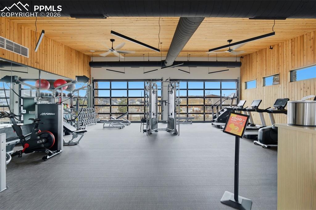 146 Kitselman Drive Castle Rock CO 80104