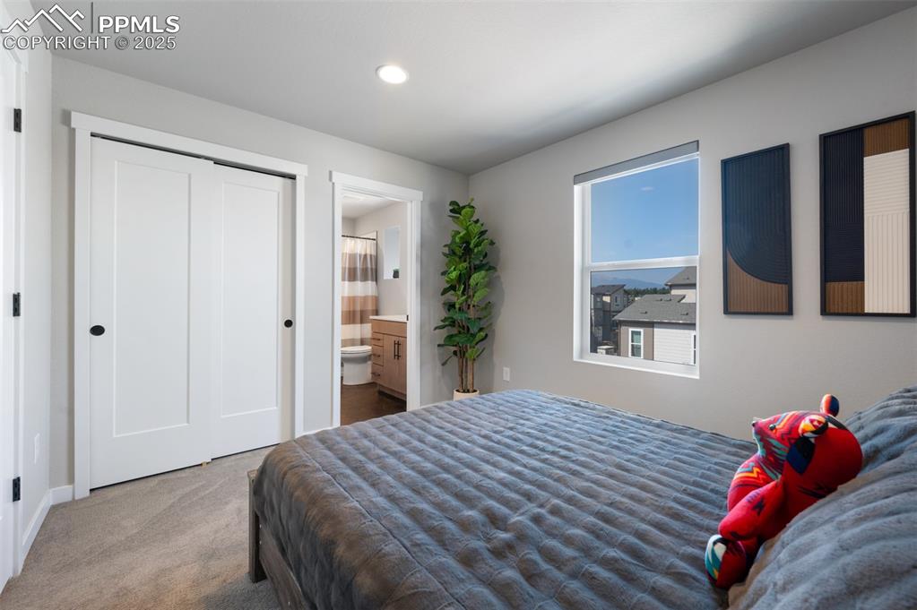 3563 Mission Bay Court Colorado Springs CO 80922