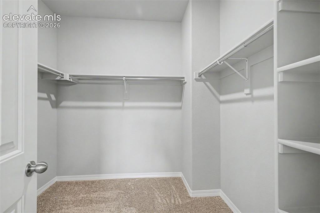 5767 Heathland Terrace Colorado Springs CO 80917