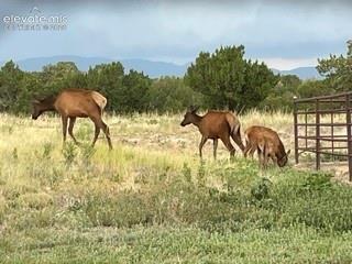 1035 Newton Road Pueblo CO 81005