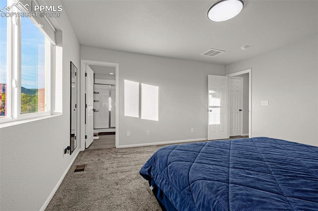 16407 Mountain Flax Drive Monument CO 80132