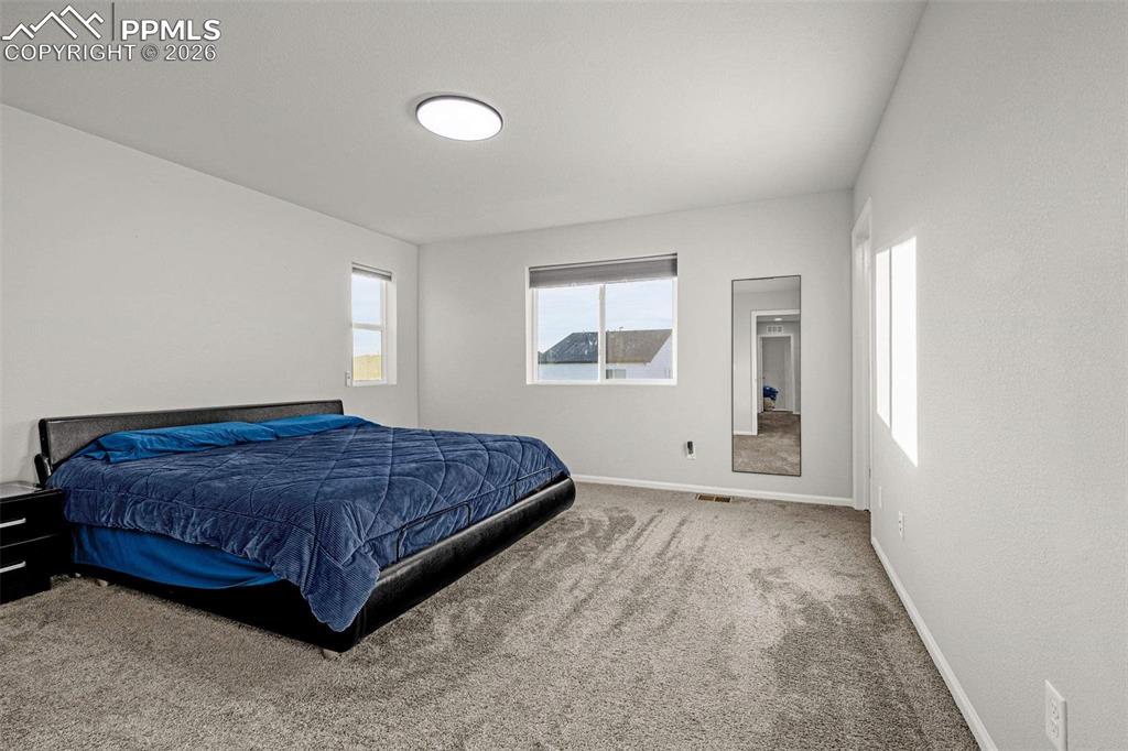 16407 Mountain Flax Drive Monument CO 80132