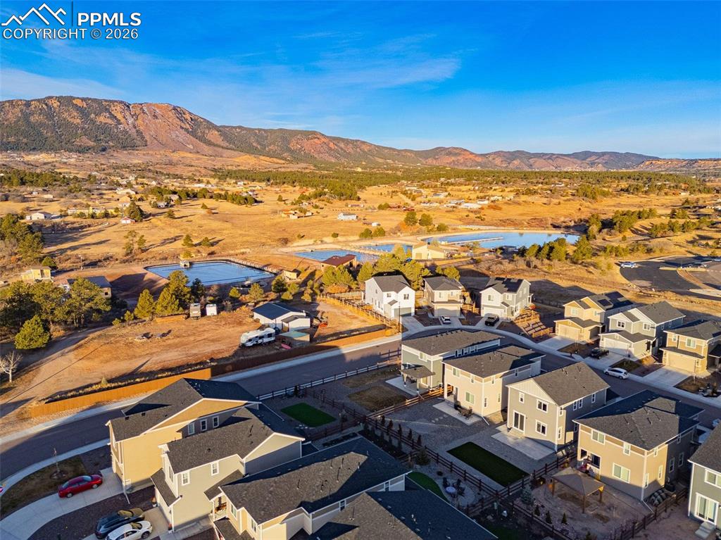16407 Mountain Flax Drive Monument CO 80132