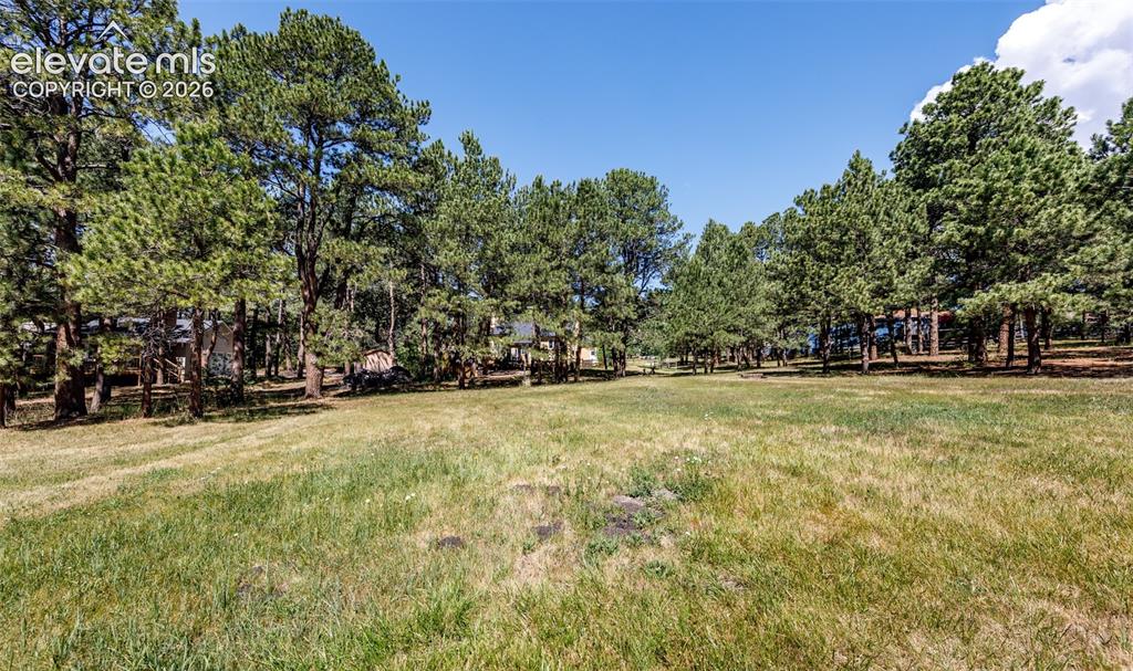 19205 Doewood Drive Monument CO 80132