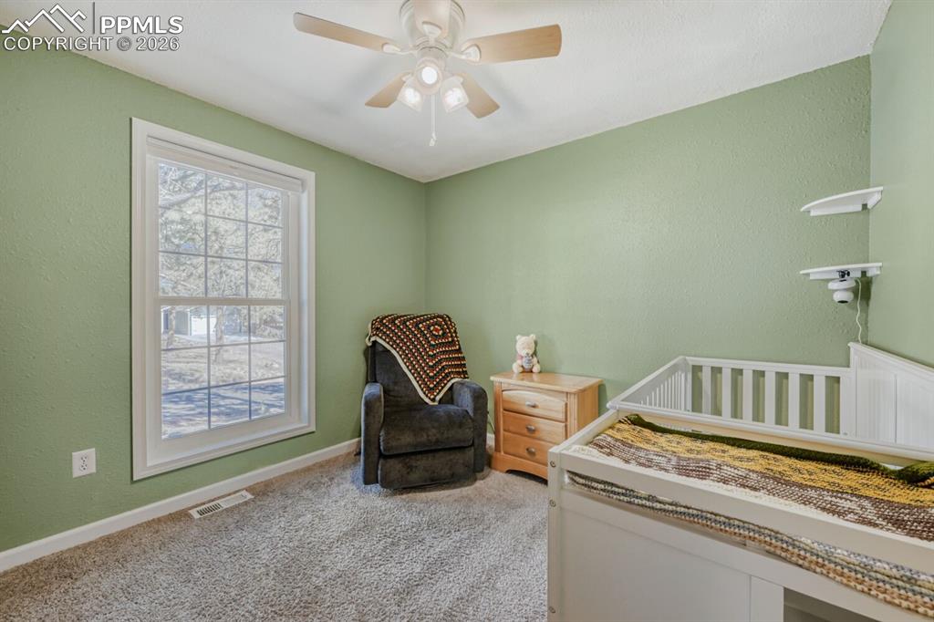 1005 W Browning Avenue Woodland Park CO 80863