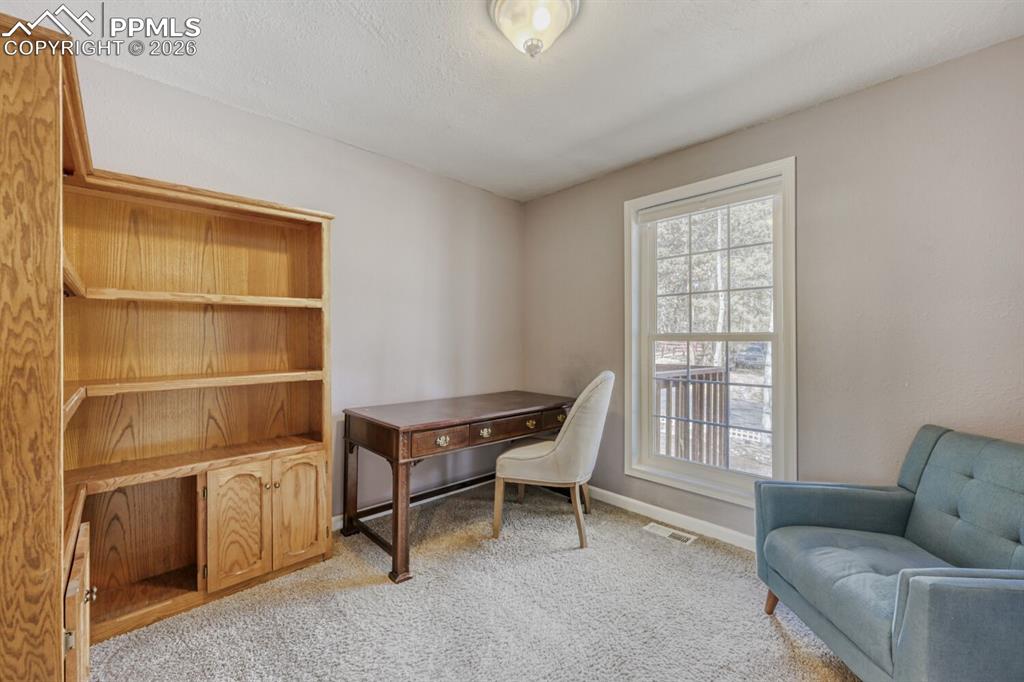 1005 W Browning Avenue Woodland Park CO 80863